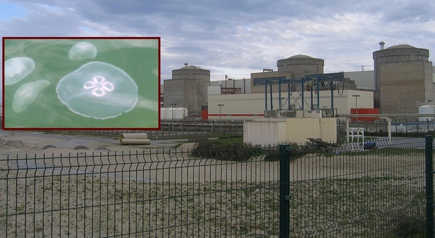 https://statics.cedscdn.it/photos/MED/2026/08/11/9702396_11134009_centrale_nucleare.jpg