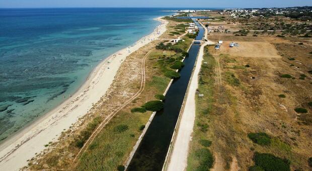 Salento, blitz sul litorale: sequestrati 98 lettini, 23 ombrelloni e circa 300 articoli da mare