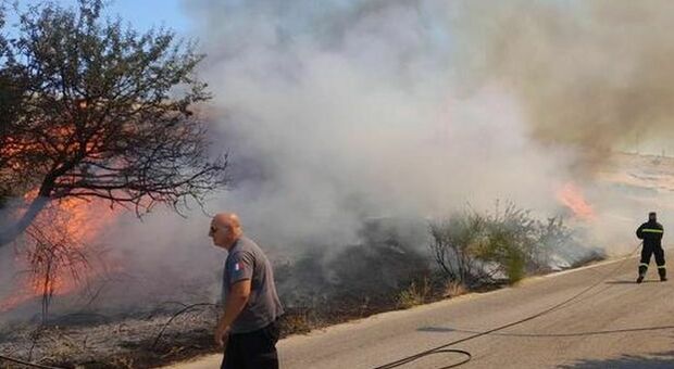 La Puglia brucia ancora, incendio doloso sul Gargano: chiusa la provinciale
