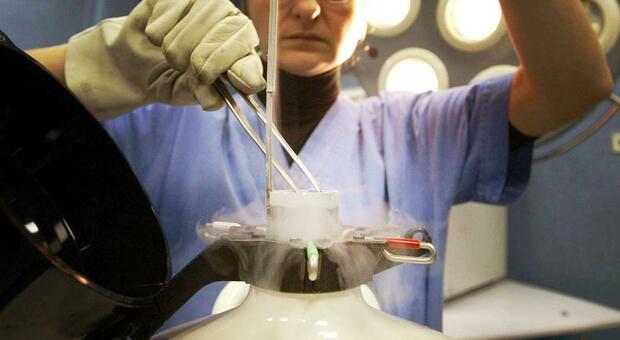  Asl, strategia per il futuro: «C?è un nuovo laboratorio, standard di sicurezza al top» 