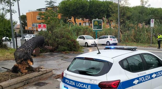 Allagamenti, alberi e rami caduti nel Maceratese. Black out per alcuni cavi tranciati. Soccorsi due escursionisti bloccati a Fiastra
