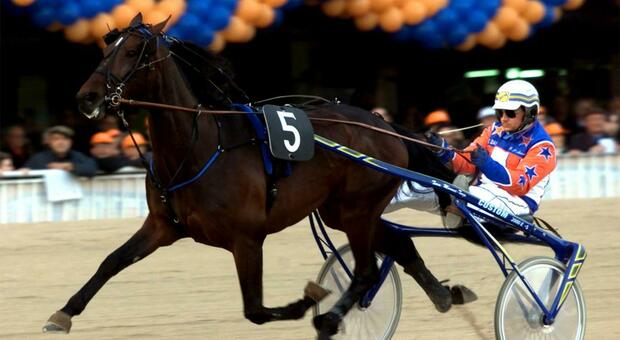 Varenne, chi era il cavallo più vincente: le grandi vittorie, il ritiro a Salerno, la prole