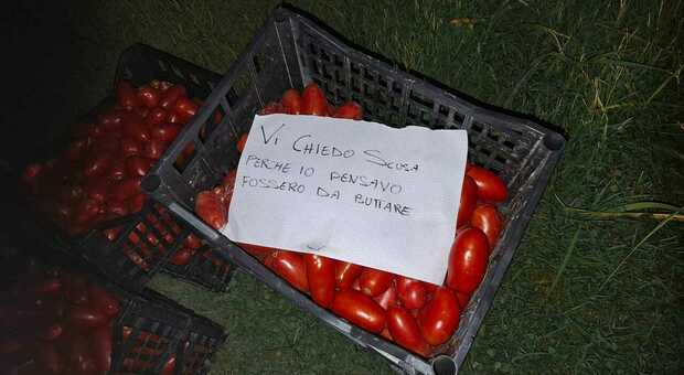 https://statics.cedscdn.it/photos/MED/2026/08/22/9719703_22085317_9719702_21122709_ladro_pomodori_cassette_restituite_post_social_codevigo.jpg