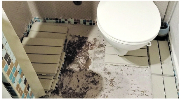 Scoperto bed and breakfast abusivo: il water nel box doccia e umidità sul soffitto