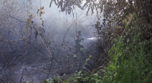  Incendio a via della Stadera: brucia un terreno incolto a pochi metri dal cimitero 