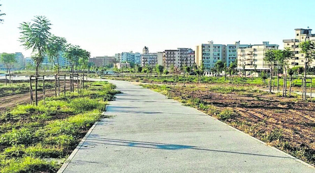 Bari, il bilancio dei cinque Municipi: cantieri, parco di Japigia e tutte le novità per la città