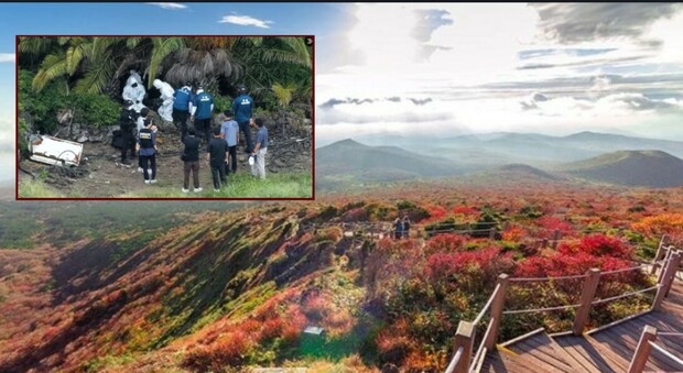 https://statics.cedscdn.it/photos/MED/2026/08/26/9726558_26123719_isola_jeju_2_.jpg