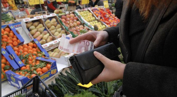  Metà del reddito per le spese obbligate. Mezzogiorno, meno soldi per l?energia 