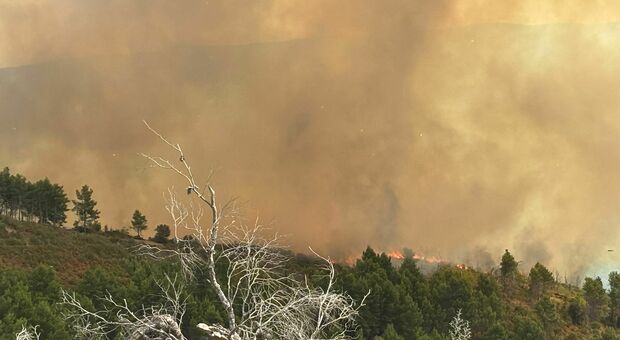 Altro incendio sul Gargano: si monitorano alcune abitazioni