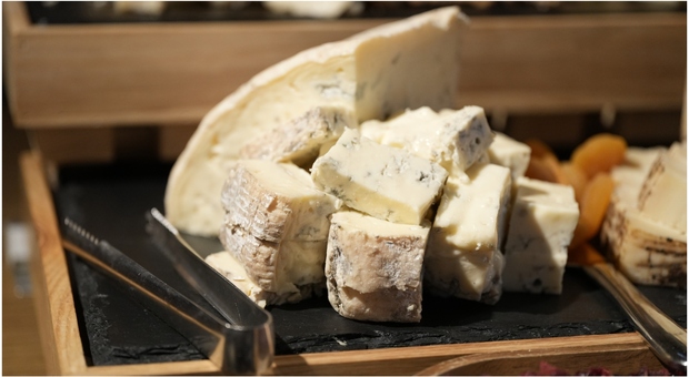 Richiamato dal commercio un lotto di gorgonzola per presenza di Listeria