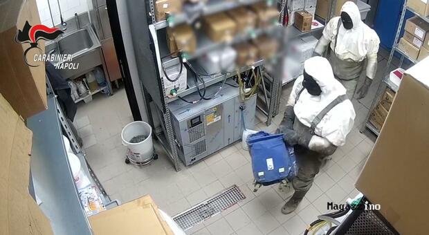  Banda del buco in trasferta inchiodata dal Dna sul cibo: erano gli avanzi nel tunnel 