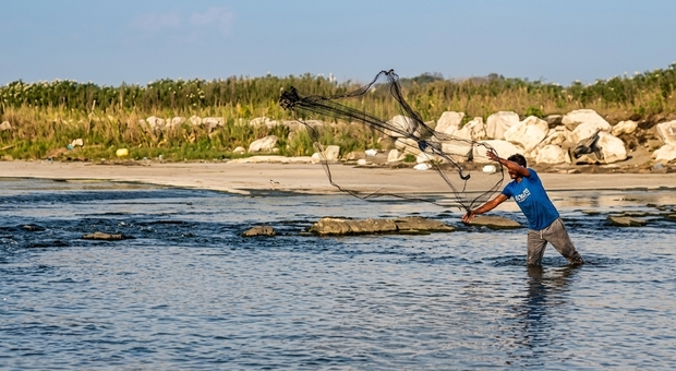  Pescatori abusivi si immergono nelle acque dei Regi Lagni 