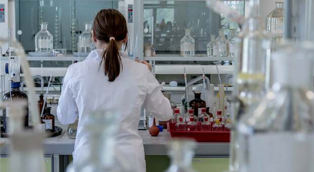 https://statics.cedscdn.it/photos/MED/2026/09/02/9739051_02132147_jarmoluk_laboratory_2815641_6_.jpg