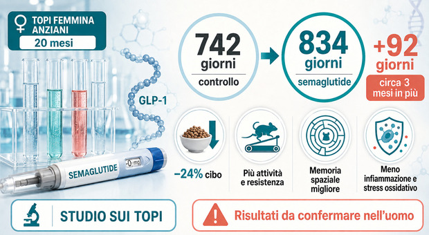 https://statics.cedscdn.it/photos/MED/2026/09/04/9743288_04131240_semaglutide_longevita.jpg