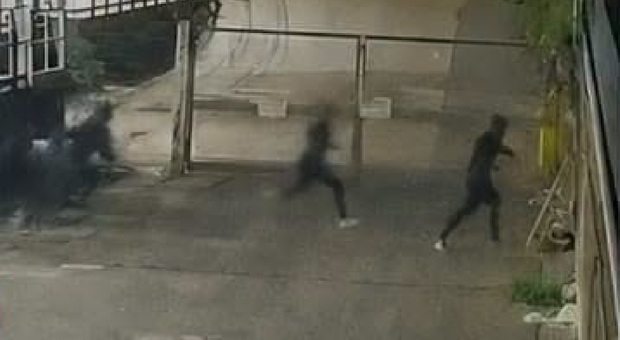  Afragola, tentano il furto con scasso alle Porte di Napoli: sei ladri in fuga nella notte 