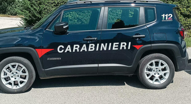 9743839 04204159 donna uccisa strada cacciavite udine oggi
