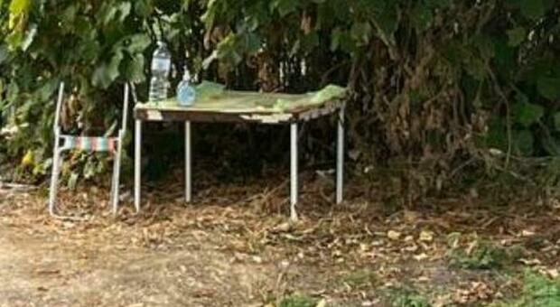 Pesaro, parco Miralfiore da polmone verde a deposito di sporcizia diffusa Pesaro, parco Miralfiore da polmone verde a deposito di sporcizia diffusa