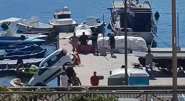 Panda rischia di finire nel porto