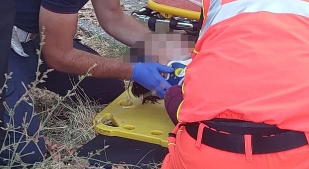 Genzano, 13enne cade dalla bici a causa delle radici sporgenti: trasportato d'urgenza al Bambino Gesù di Roma