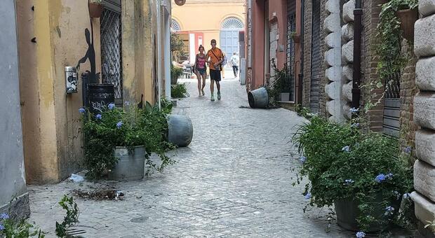 Ancona, la punizione per il grande Idiota? Un avviso orale, praticamente nulla Ancona, la punizione per il grande Idiota? Un avviso orale, praticamente nulla