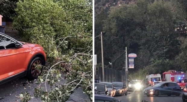  Pianura, albero piomba sulla strada: sfiorati un'auto e uno scooter in via Padula 