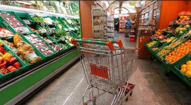 Carta Dedicata a te, bonus da 500 euro per 452 famiglie ascolane: possono acquistare solo generi alimentari