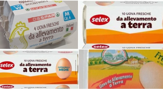 Uova ritirate dal commercio per rischio salmonella, quali sono i prodotti da non consumare e dove sono stati venduti