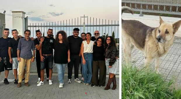Addio a Rex, cane e amico di tutti per 19 anni: l'ultimo viaggio organizzato dai residenti del suo quartiere