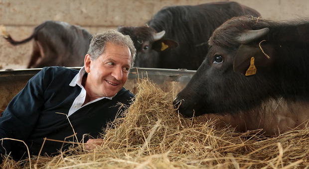 https://statics.cedscdn.it/photos/MED/2026/09/17/9769392_17173303_jody_scheckter.jpg