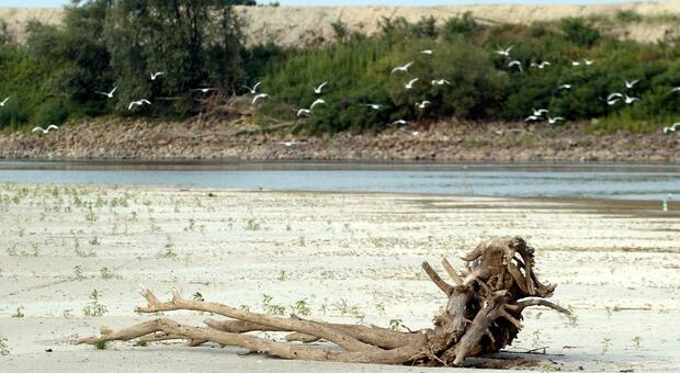 Siccit&agrave;, la tregua dopo 68 giorni da incubo: il Po torna ad avere acqua e si ritira il cuneo salino. Sospiro di sollievo per l'agricoltura