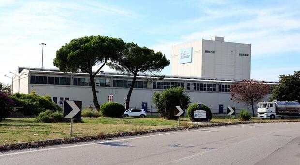 Barilla-Liguori, trattative in corso: &laquo;Ma Voiello resta&raquo;