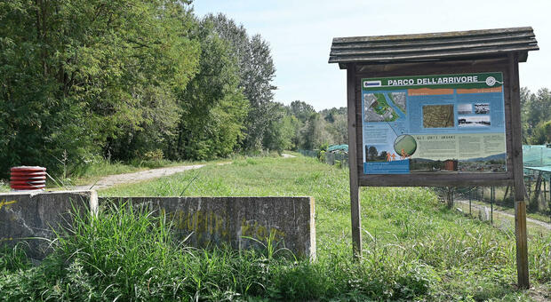 Torino, abusi su 12enne nel parco: il giovane fermato ha confessato. &laquo;Ero sotto effetto di droghe&raquo;