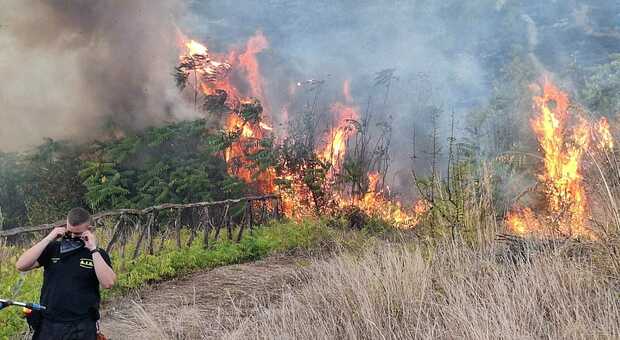 Incendio a Pignataro Maggiore, maxi rogo al Monte Maggiore: si ipotizza l'azione di un piromane