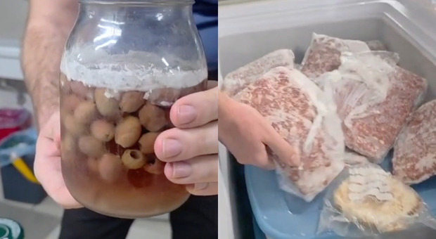 Vermi e insetti negli alimenti, sospeso un deposito alimentare a Caivano| VIDEO