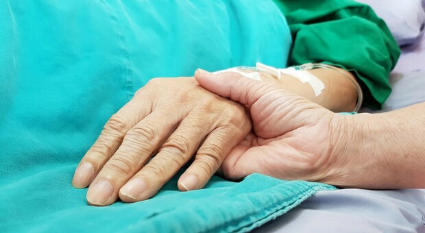 Fine vita, il Cdm impugna la legge dell'Emilia Romagna: «Non garantisce un effettivo percorso di cure palliative»