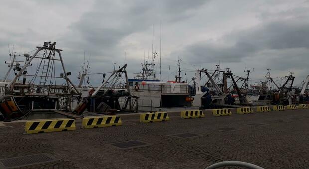 Caro gasolio, troppe spese: termina domani il fermo pesca ma per i marittimi saranno giorni di lavoro ridotti dal porto di San Benedetto