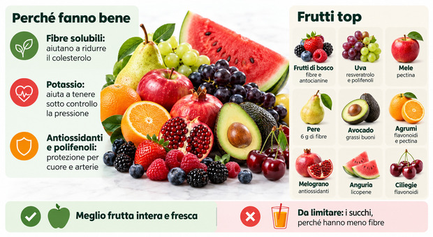 I nove frutti della longevità: dall’avocado all’anguria, gli alleati di cuore e colesterolo (e il rosso conta)