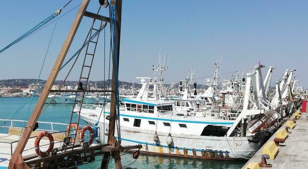 I pescherecci al porto di Civitanova
