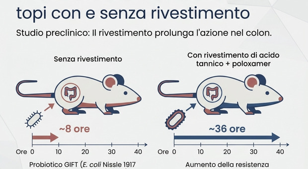 Diabete, creato un batterio geneticamente modificato che riduce la glicemia. Come funziona la pillola GLP-1