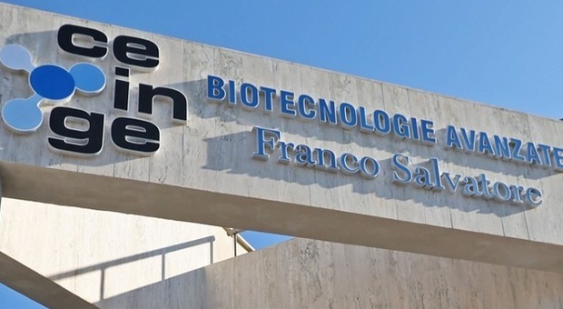  Leucodistrofia, in Campania al via nuovo screening neonatale per la diagnosi precoce, Fico: «Così cambiamo il futuro dei bimbi» 
