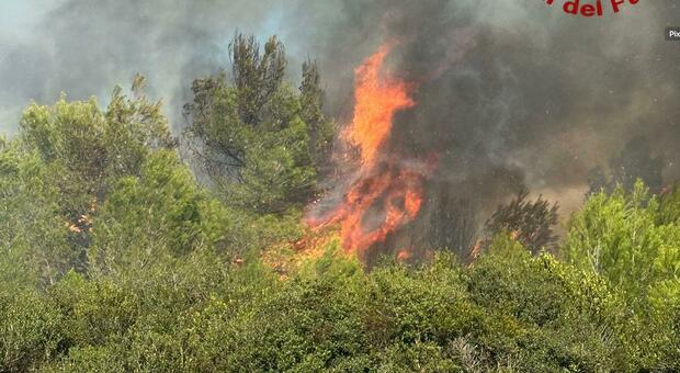 Vasto incendio in zona Fondone: in azione un canadair