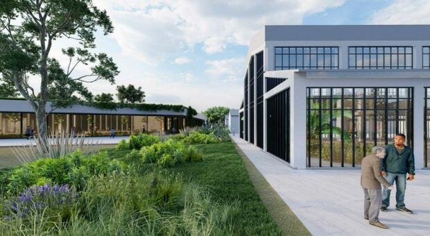 Come sar&agrave; il Politecnico di Bari: campus all'americana, posti letto e laboratori. Il progetto
