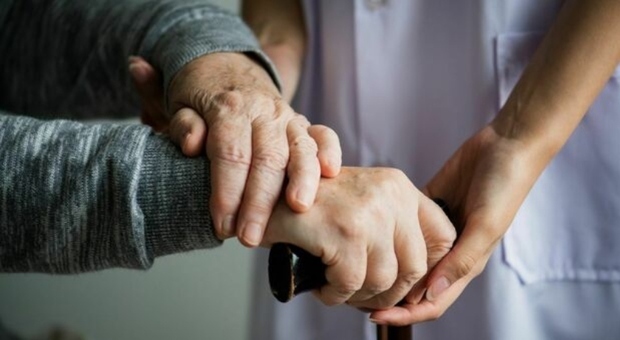 Badante nominata unica erede dall'anziana, testamento annullato: &laquo;Era fragile e totalmente incapace di intendere e volere&raquo;