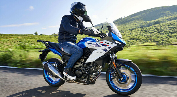 Suzuki SV-7GX