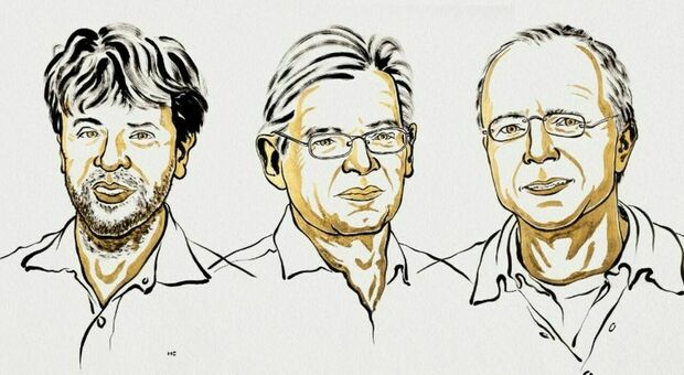  L?alga che cerca la luce e ?accende? il cervello: ecco il Nobel per la Medicina 