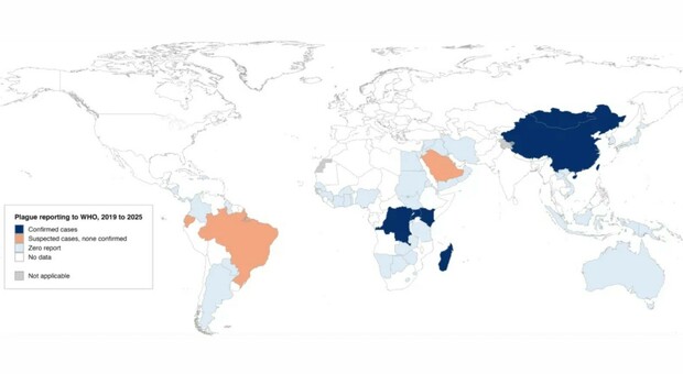 Peste in Siberia, confini blindati tra Asia e Russia con quarantene e controlli. La mappa globale dei contagi