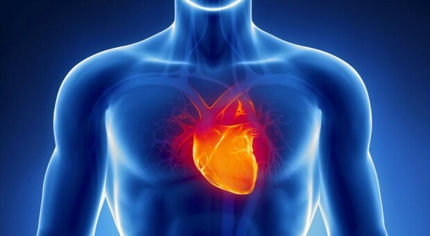 https://statics.cedscdn.it/photos/MED/2026/10/07/9808264_07070233_cuore.jpg