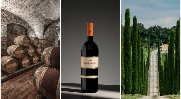 Maxi colpo alla Marchesi Antinori, rubate 30mila bottiglie: bottino da 5 milioni, &egrave; il furto di vino pi&ugrave; ricco mai avvenuto in Italia