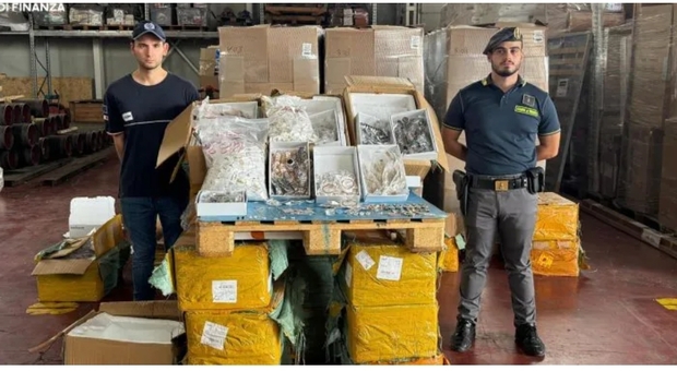 Migliaia di Swarovski falsi pronti a partire: sequestrati gioielli, anelli bracciali e orologi