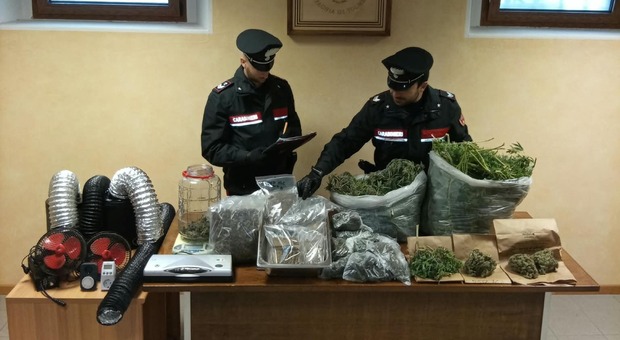Fabbrica della marijuana vicino al lago di Verzegnis, i carabinieri sequestrano quasi 10 chili di droga: arrestato un 36enne
